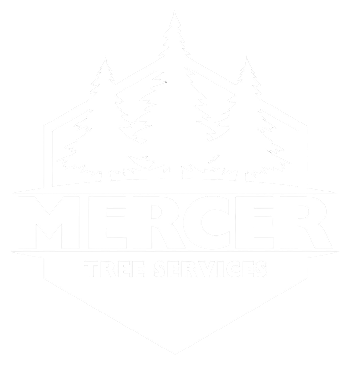 Mercer Tree Services