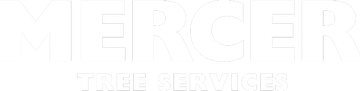 Mercer Tree Services