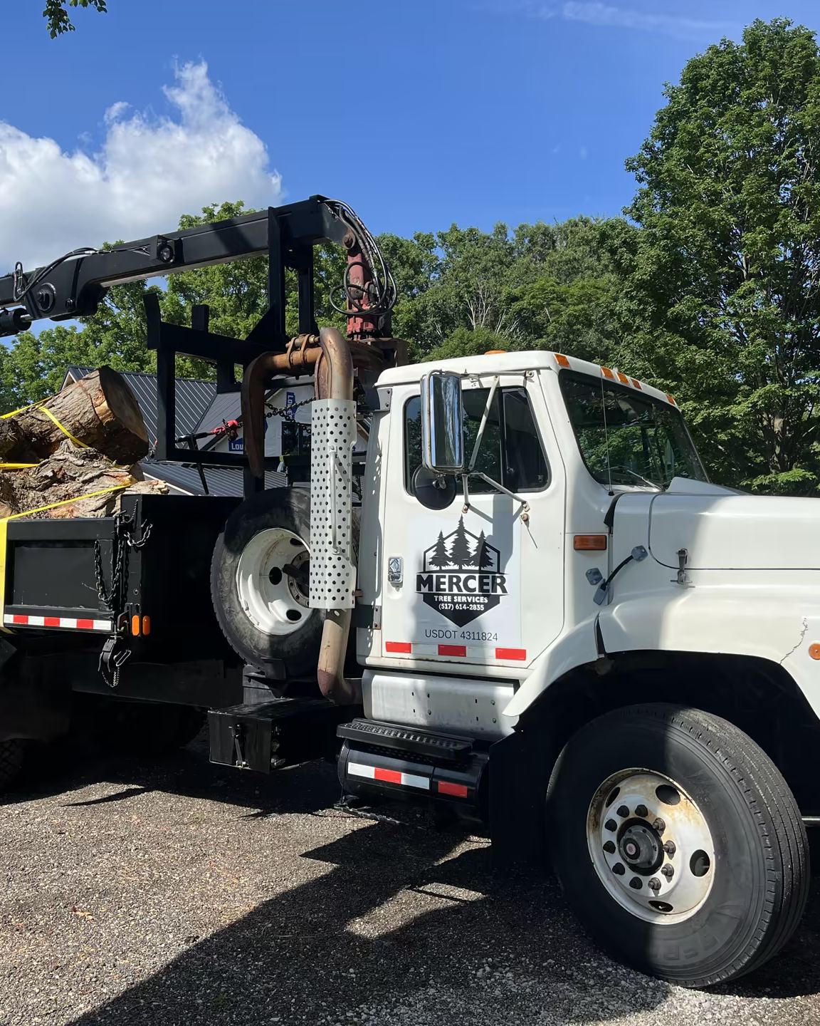 Mercer Tree Services truck loaded with large tree sections