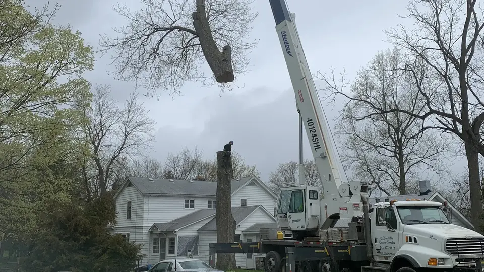 A crane lifting a large tree section above a residential removal site