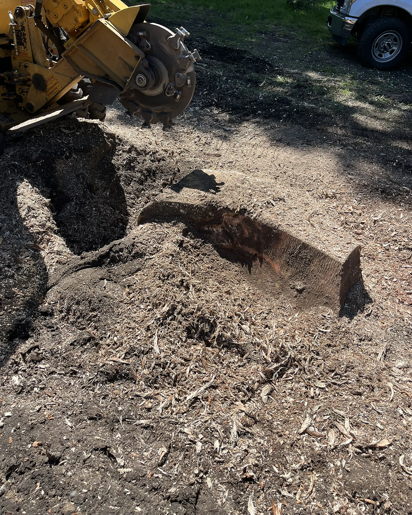 A stump grinder removing a large stump in a residential yard