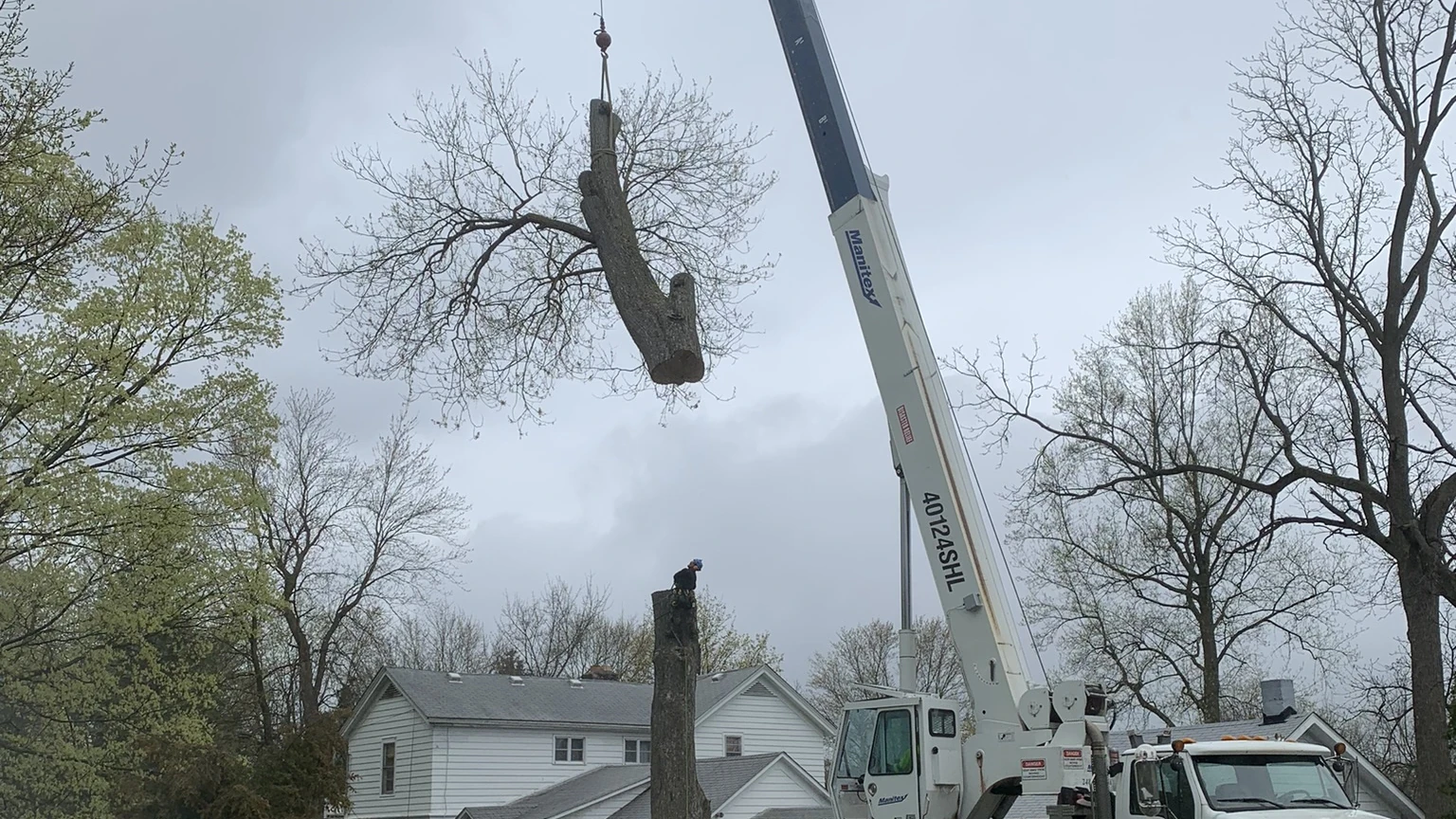 A crane lifting a cut tree section above a residential yard